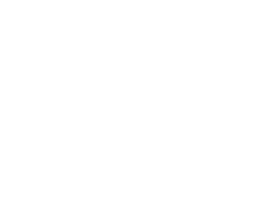 NYspins logo